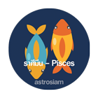 12 astrosiam trait by sign Pisces the fish 140x140